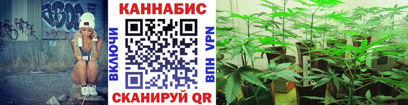МАРИХУАНА план Приволжск